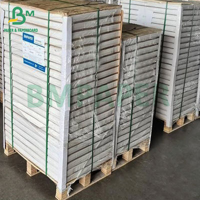 Giấy bọc thực phẩm màu trắng 33gm 38gm với chất chống dầu và mỡ hoàn hảo
