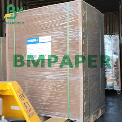 150g đến 350g Bảng giấy Kraft Gấp đôi đơn màu nâu cho cốc và bát