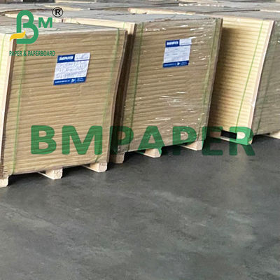 15 &quot;x 1000&quot; White Polyboard 1 mặt PE phủ giấy cho thực phẩm đông lạnh 275g