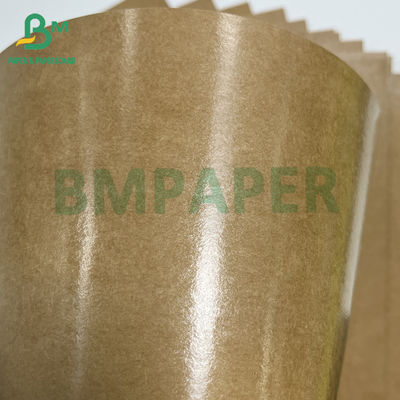 Bao bì sản phẩm thực phẩm 300gm giấy kraft phủ PE chống nước
