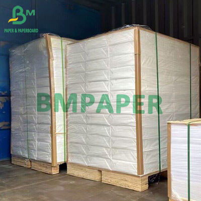 Bảng giấy tổng hợp polypropylene cho hai mặt in laser 13 &quot;X19&quot; Độ dày 14pt 12pt 10pt 8pt