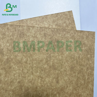 325gm Food Grade Superior Strength White Coated Kraft Back CKB Cho hộp đồ ăn
