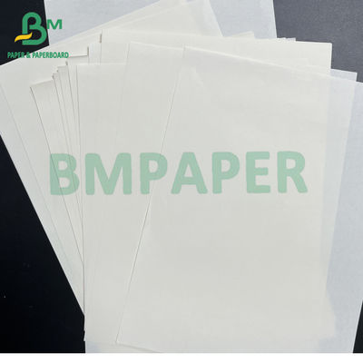 55gsm 58gsm Bảng giấy Maplitho không gỗ