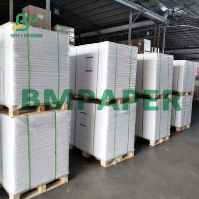 300g 350g 400g Bạch PE phủ giấy C1S cho hộp đóng gói thực phẩm
