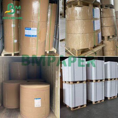 35gsm 40gsm giấy bảo vệ dầu giấy trắng chống mỡ trong cuộn kích thước tùy chỉnh cho bọc thực phẩm