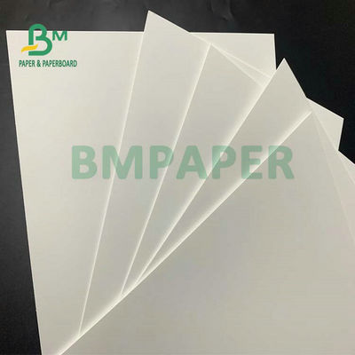 C1S Food Grade FBB Board 270g 325g 350g Để làm hộp hamburger
