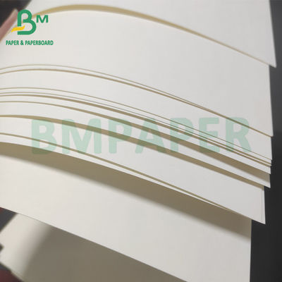 Single PE phủ hộp đồ ăn trưa White White Cho bao bì thực phẩm