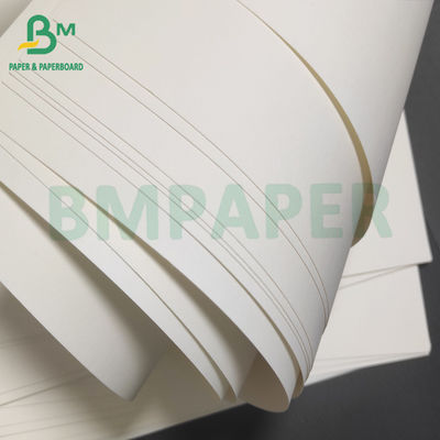 Single PE phủ hộp đồ ăn trưa White White Cho bao bì thực phẩm