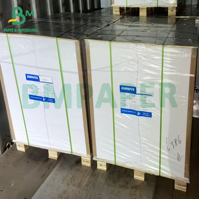 Single PE phủ hộp đồ ăn trưa White White Cho bao bì thực phẩm