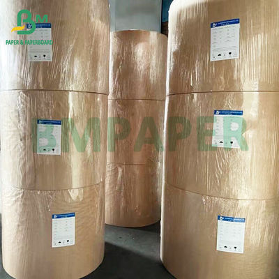 Single PE phủ hộp đồ ăn trưa White White Cho bao bì thực phẩm