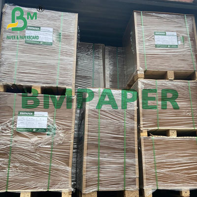 Thang giấy kraft màu nâu PE nhựa ván cho thùng chứa thực phẩm