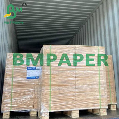 19cm X 25cm 10 Tags Tayvek màu đeo tay cho vòng đeo tay nhập cảnh