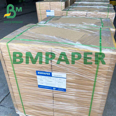 19cm X 25cm 10 Tags Tayvek màu đeo tay cho vòng đeo tay nhập cảnh