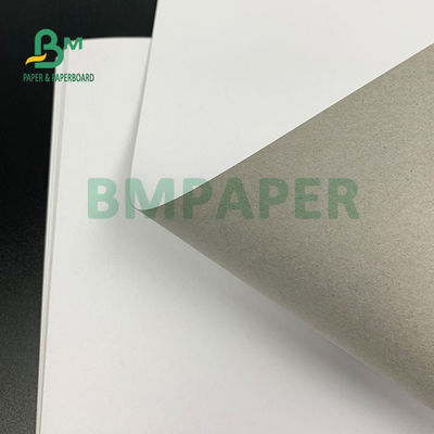 400gm 450gm C1S Grey Back Top Grade Paper Board Cho Giày Box 22 x 26 inch