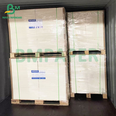 giấy tổng hợp PET chống rách 200mic