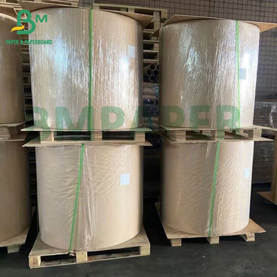 Bảng lớn và cuộn giấy NCR không carbon nhiều màu cho hóa đơn biên lai