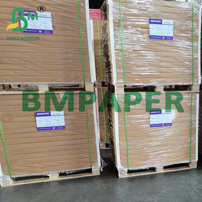 Bảng giấy kính xuyên suốt 8 x 11,5 inch để bảo vệ ảnh