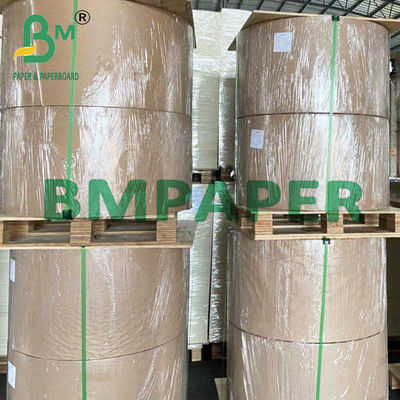 Bảng giấy kính xuyên suốt 8 x 11,5 inch để bảo vệ ảnh