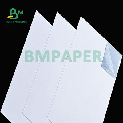 Bảng phủ chất bột cao màu trắng Blue Core Cardboard 280gm 300gm