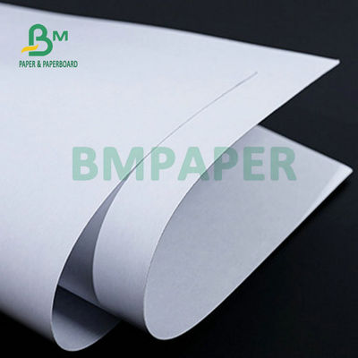 Bảng phủ chất bột cao màu trắng Blue Core Cardboard 280gm 300gm