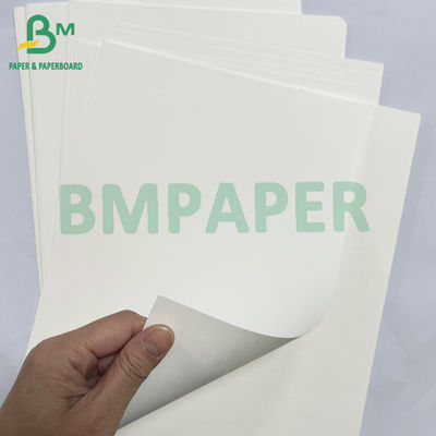 100grs 200grs tái chế chất lượng thực phẩm Bagasse Bột giấy trắng cuộn