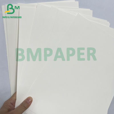 100grs 200grs tái chế chất lượng thực phẩm Bagasse Bột giấy trắng cuộn
