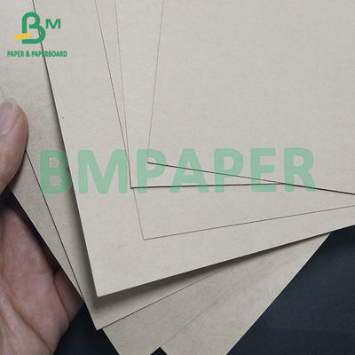 Sợi tái chế Cây mía so với gỗ Bột mỡ giấy mía để làm ly