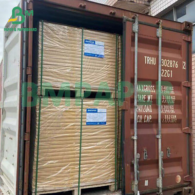 Sợi tái chế Cây mía so với gỗ Bột mỡ giấy mía để làm ly
