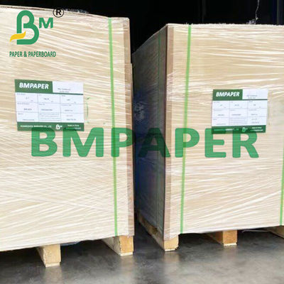 90 ~ 360gm Bảng giấy sợi mía thân thiện với môi trường cho ly dùng một lần