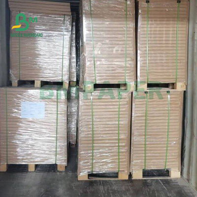 Bảng giấy báo không phủ 45gm để in xét nghiệm 610 x 860mm