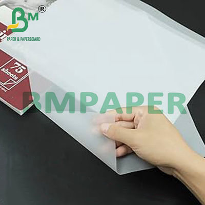 Giấy vẽ theo dõi xuyên suốt cho sổ sao chép - 500 trang / vỏ
