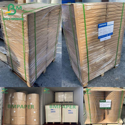 Blotter giấy giấy trắng 0.4mm 0.5mm 0.6mm 430 X 610mm 500 tờ Ream Pack