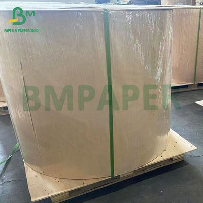 48gm 55gm Jumbo Roll giấy nhiệt cho máy ATM và POS sổ ghi tiền