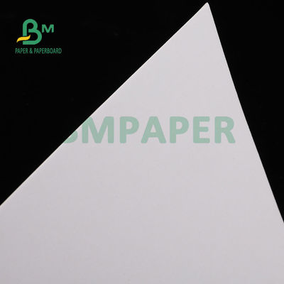 255gm SBS Board For Pharmaceutical Packaging Màu trắng cao 720 X 1020mm