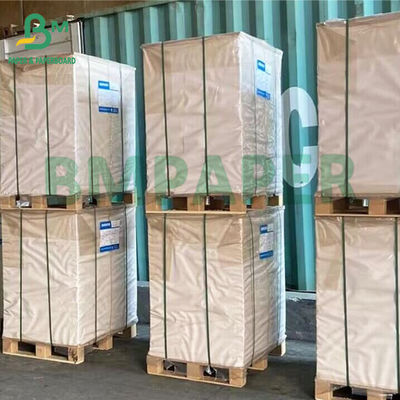 Giấy sách không gốm 65g 75g Bảng giấy màu kem lớn