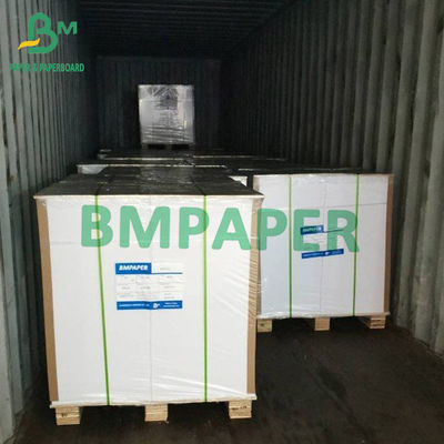 C2S Gloss Artboard High Bulk White Coated Two Sides Paper 300g 350g 35&quot; x 47&quot; kích thước tùy chỉnh
