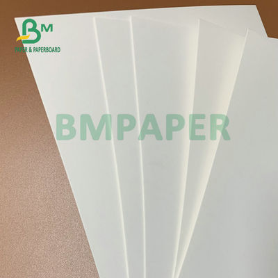 275gm + 15gm PE phủ tấm ván trắng 74 x 106cm Đối với hộp đóng băng