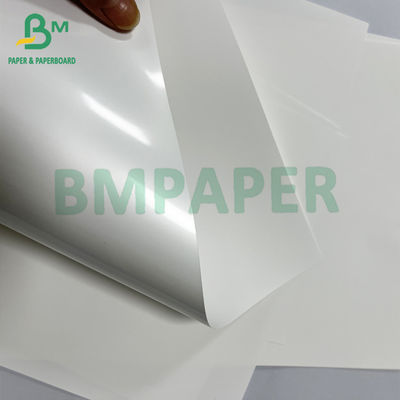 Bảng giấy tổng hợp nhiệt y tế mịn 180 Mic chống dị ứng