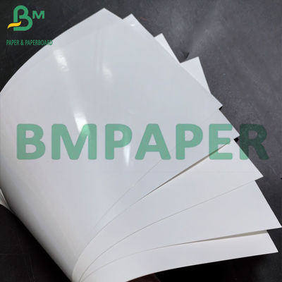 Một mặt phủ giấy tổng hợp nhiệt nóng nóng nóng nóng chảy giấy tấm PP nhiệt