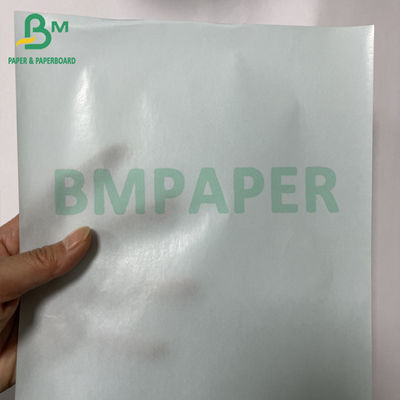 Bảng giấy phát hành màu xanh lá cây không phủ 60gm có thể tái chế