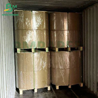 Bảng giấy phát hành màu xanh lá cây không phủ 60gm có thể tái chế