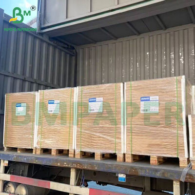 Tấm trắng không phủ có thể phân hủy tự nhiên cho chén chén