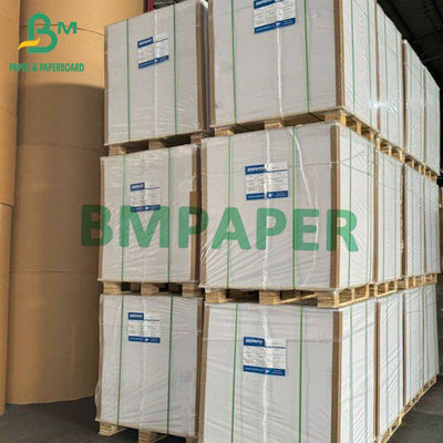 Bảng giấy Bristol Kích thước 100x70cm 230 250 270grams Bảng giấy không phủ màu trắng
