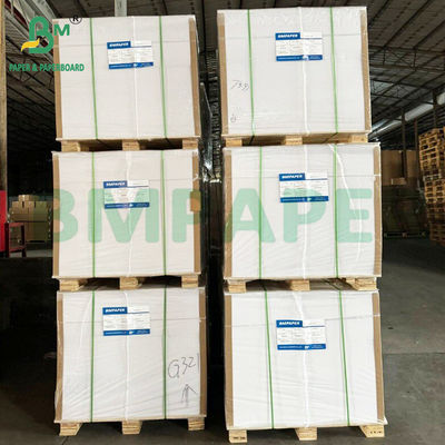 Giấy nghệ thuật - C2S Gloss Matt White Paper Gấp đôi