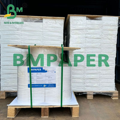 CC RC A4 A3 Kích thước Bảng ảnh sáng phủ cho máy in inkjet
