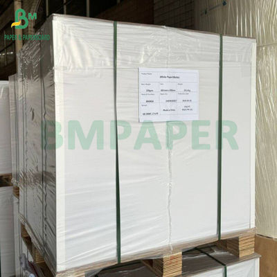 Giấy tiểu thuyết lớn 65gm 70gm giấy sách kem không phủ