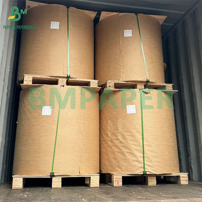Giấy kraft chống nước và côn trùng 56gm cho túi xoang xoang