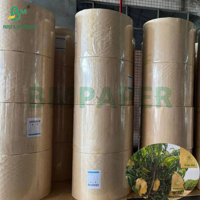 Bao bảo vệ trồng xoài 30gm bên trong giấy đen