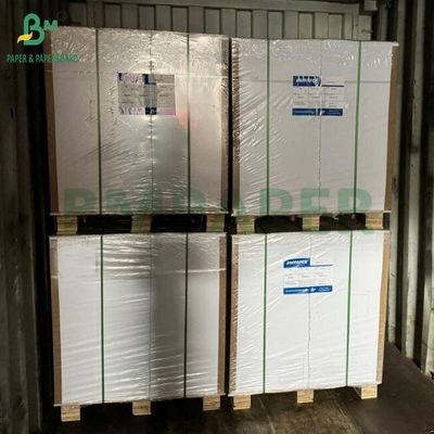 Bao bảo vệ trồng xoài 30gm bên trong giấy đen