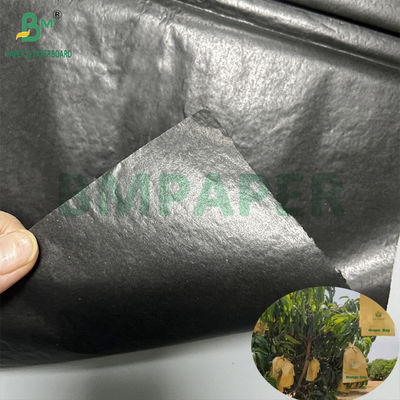 Bao bảo vệ trồng xoài 30gm bên trong giấy đen